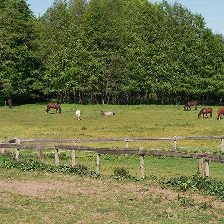 Hof Bahrenwinkel Lejlighed