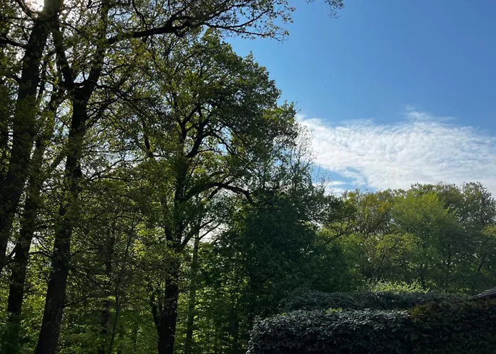 Hof Bahrenwinkel Appartement