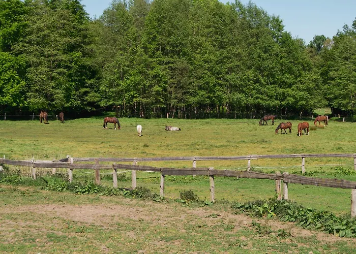 Hof Bahrenwinkel Appartement